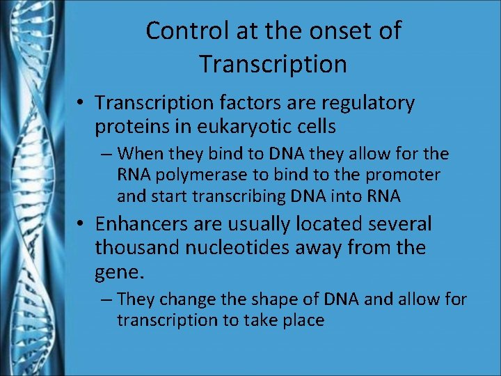 Control at the onset of Transcription • Transcription factors are regulatory proteins in eukaryotic
