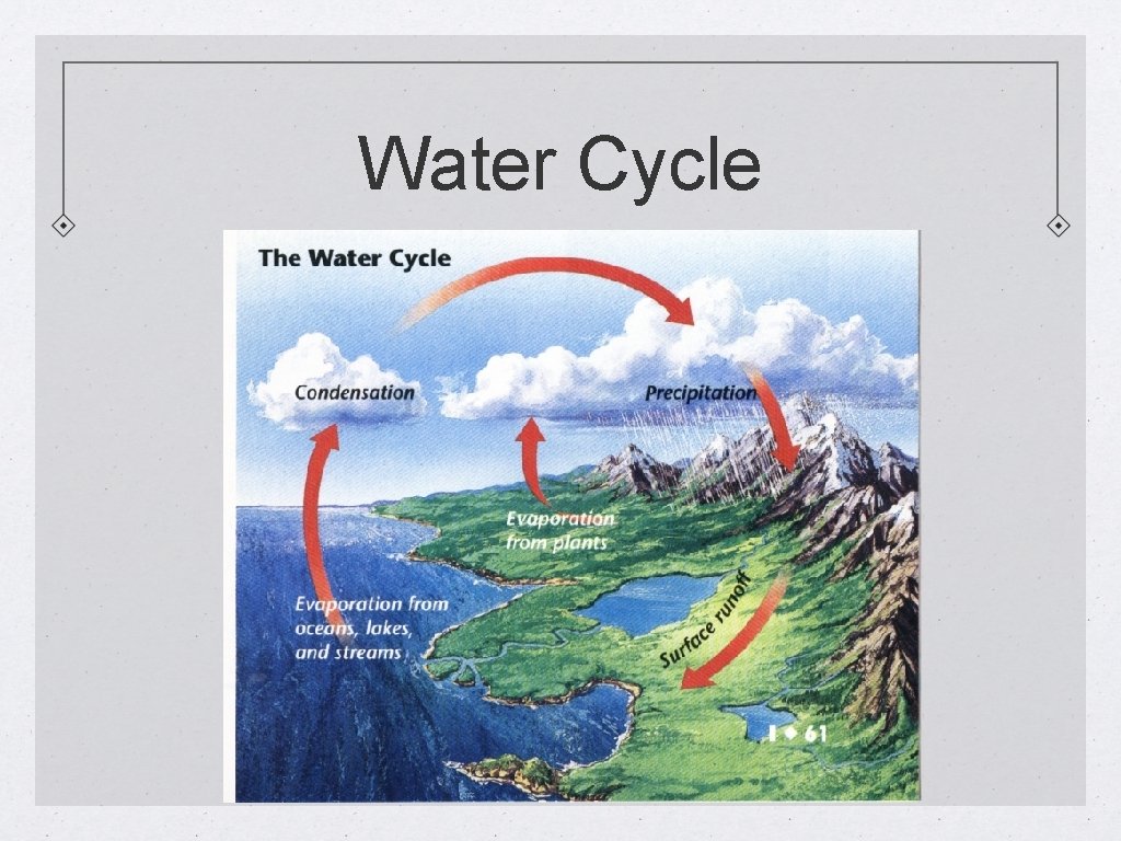 Water Cycle 