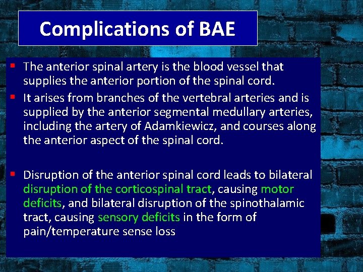 Complications of BAE § The anterior spinal artery is the blood vessel that supplies