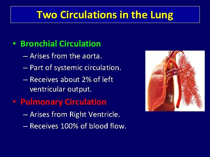 Two Circulations in the Lung • Bronchial Circulation – Arises from the aorta. –