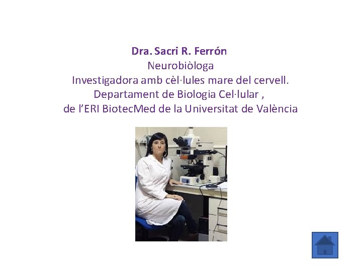 Dra. Sacri R. Ferrón Neurobiòloga Investigadora amb cèl·lules mare del cervell. Departament de Biologia