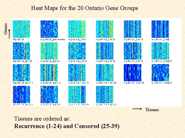 Genes Heat Maps for the 20 Ontario Gene Groups Tissues are ordered as: Recurrence