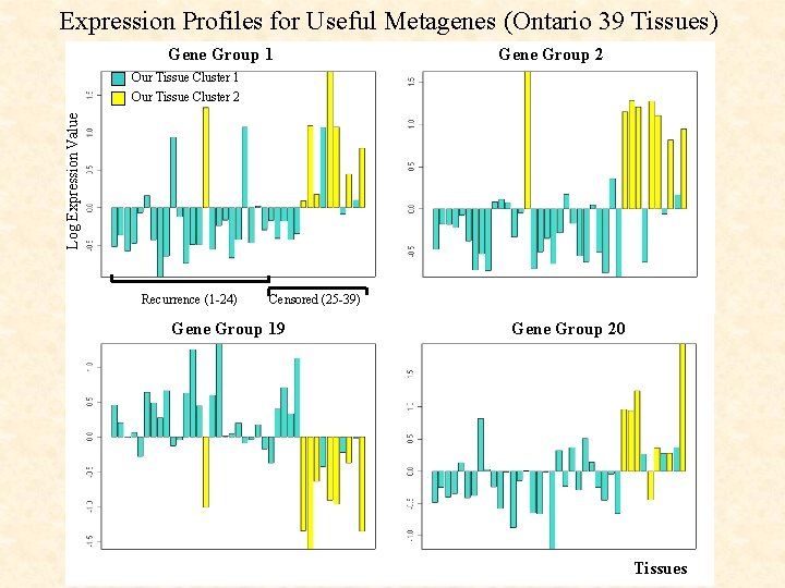 Expression Profiles for Useful Metagenes (Ontario 39 Tissues) Gene Group 1 Gene Group 2