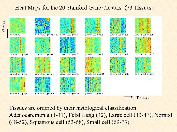 Genes Heat Maps for the 20 Stanford Gene Clusters (73 Tissues) Tissues are ordered