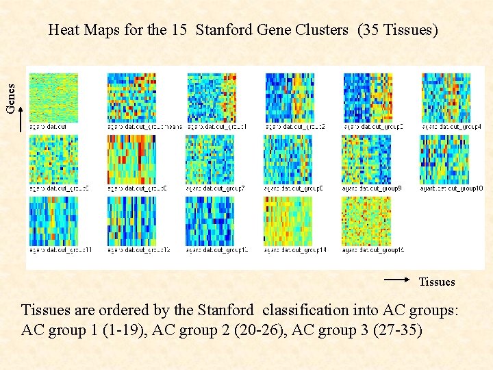 Genes Heat Maps for the 15 Stanford Gene Clusters (35 Tissues) Tissues are ordered