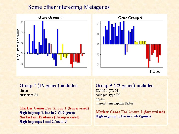 Some other interesting Metagenes Gene Group 9 Log Expression Value Gene Group 7 Tissues