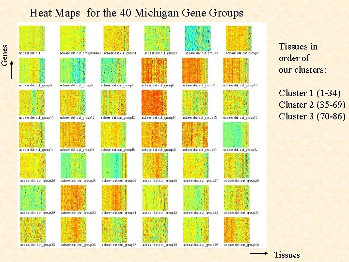 Genes Heat Maps for the 40 Michigan Gene Groups Tissues in order of our