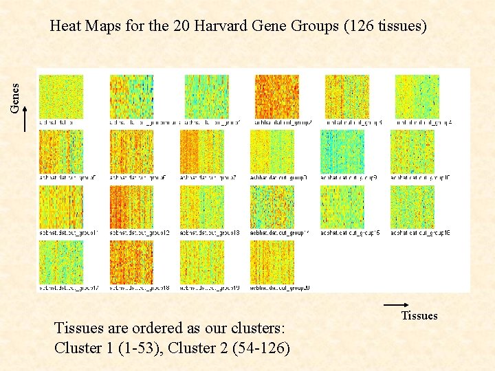 Genes Heat Maps for the 20 Harvard Gene Groups (126 tissues) Tissues are ordered