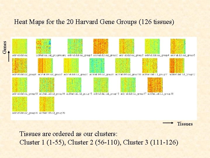 Genes Heat Maps for the 20 Harvard Gene Groups (126 tissues) Tissues are ordered