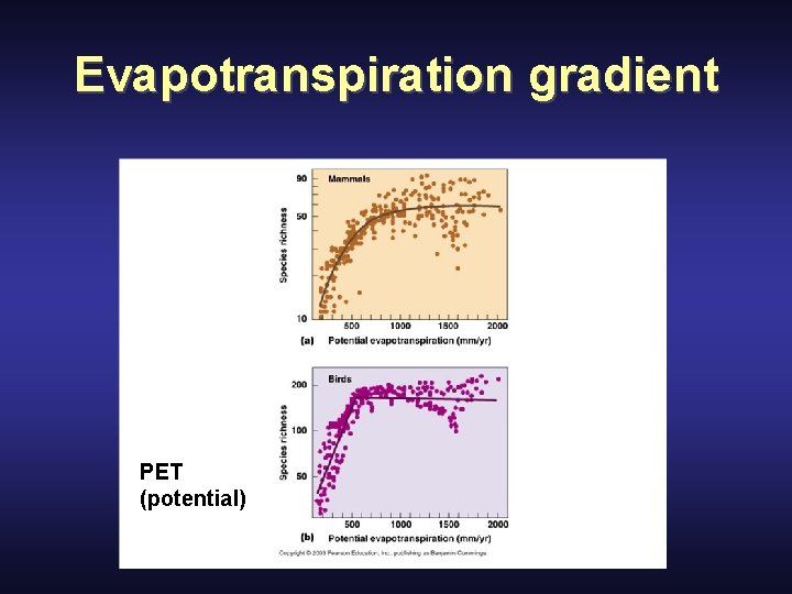 Evapotranspiration gradient PET (potential) 