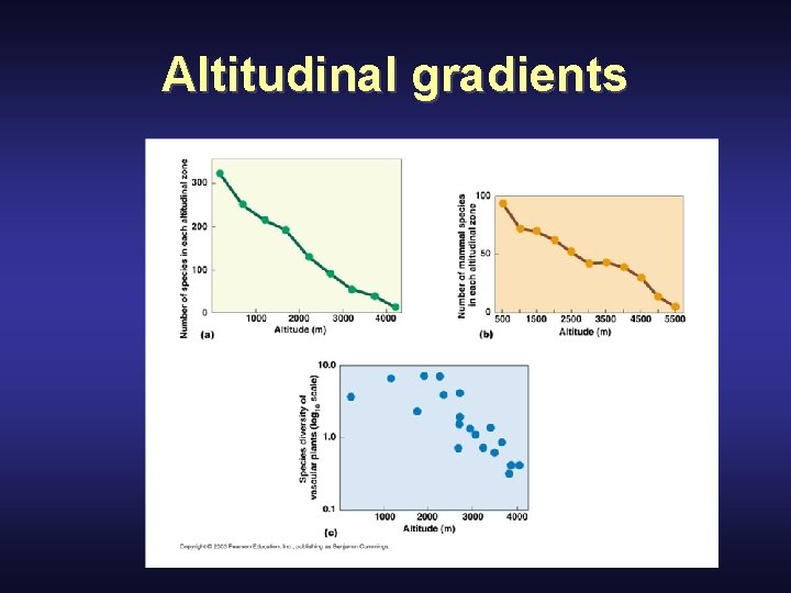 Altitudinal gradients 