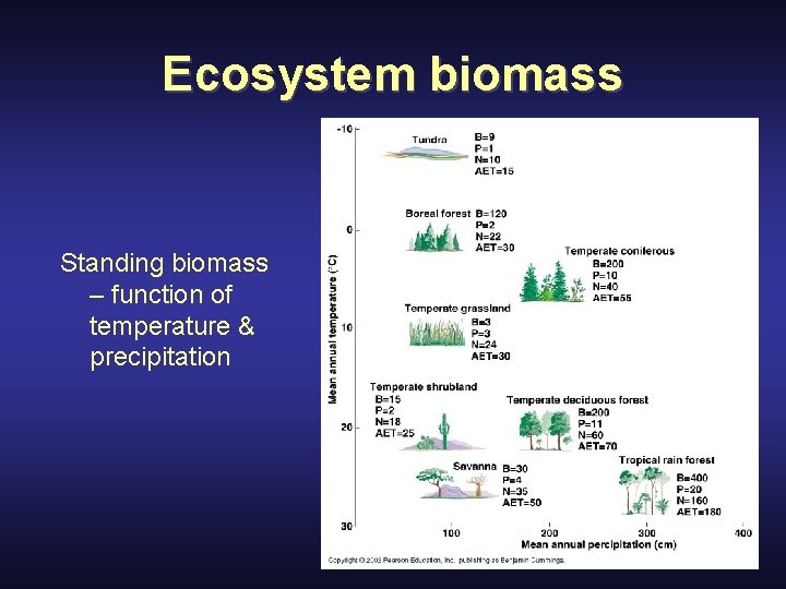 Ecosystem biomass Standing biomass – function of temperature & precipitation 