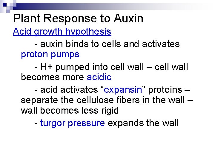 Plant Response to Auxin Acid growth hypothesis - auxin binds to cells and activates