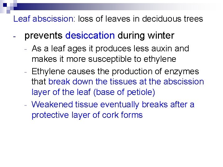 Leaf abscission: loss of leaves in deciduous trees - prevents desiccation during winter As