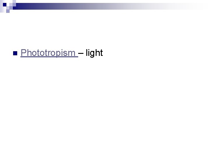 n Phototropism – light 