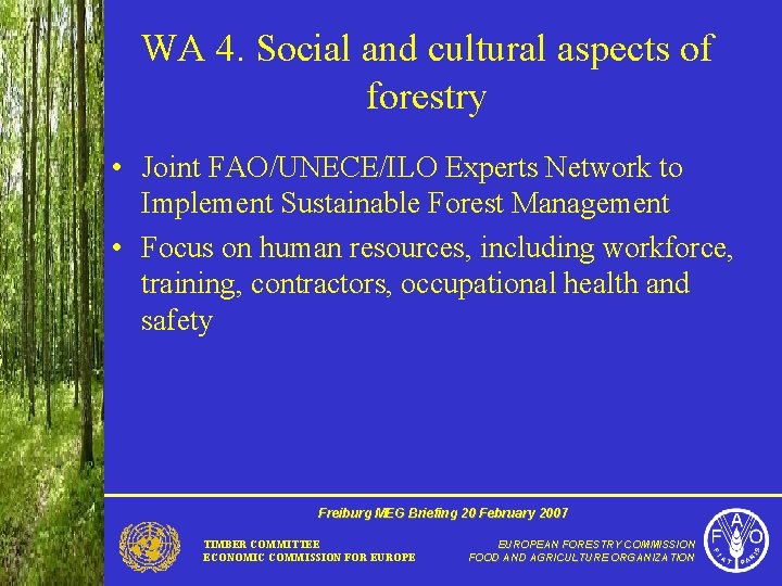 WA 4. Social and cultural aspects of forestry • Joint FAO/UNECE/ILO Experts Network to