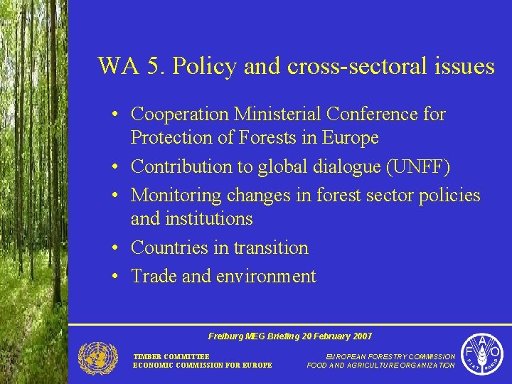 WA 5. Policy and cross-sectoral issues • Cooperation Ministerial Conference for Protection of Forests