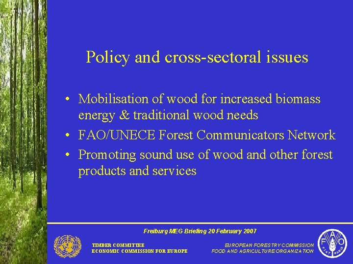 Policy and cross-sectoral issues • Mobilisation of wood for increased biomass energy & traditional