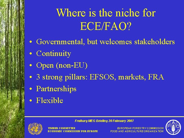 Where is the niche for ECE/FAO? • • • Governmental, but welcomes stakeholders Continuity