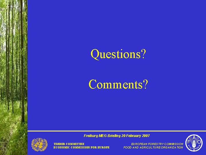 Questions? Comments? Freiburg MEG Briefing 20 February 2007 TIMBER COMMITTEE ECONOMIC COMMISSION FOR EUROPEAN
