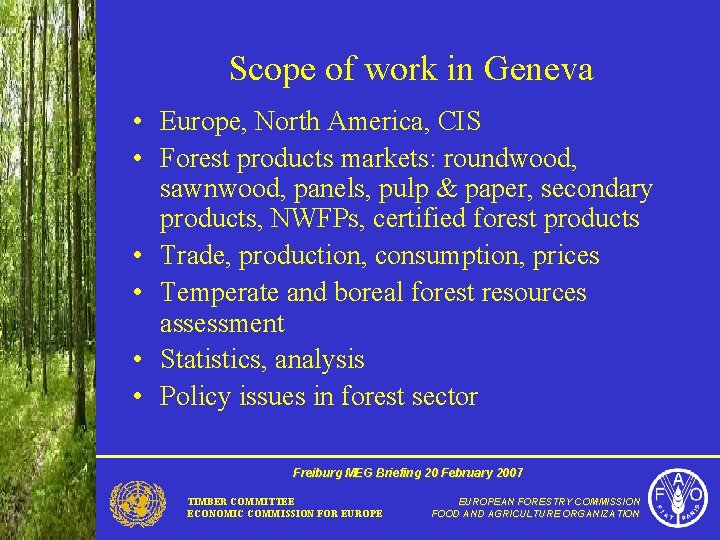 Scope of work in Geneva • Europe, North America, CIS • Forest products markets: