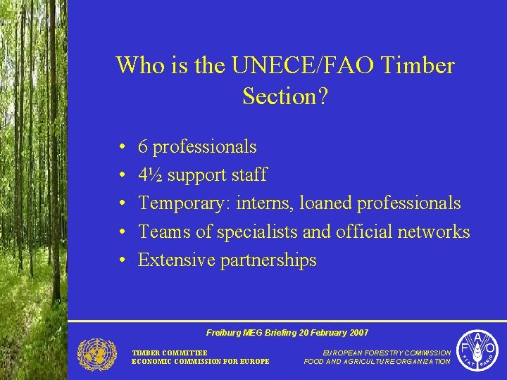 Who is the UNECE/FAO Timber Section? • • • 6 professionals 4½ support staff