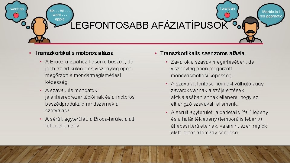 LEGFONTOSABB AFÁZIATÍPUSOK • Transzkortikális motoros afázia • A Broca-afáziához hasonló beszéd, de jobb az