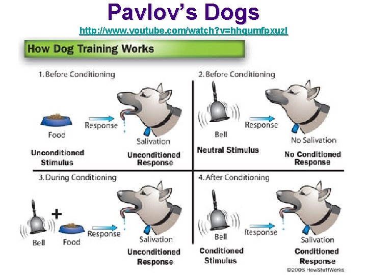 Pavlov’s Dogs http: //www. youtube. com/watch? v=hhqumfpxuz. I 