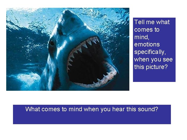 Tell me what comes to mind, emotions specifically, when you see this picture? What