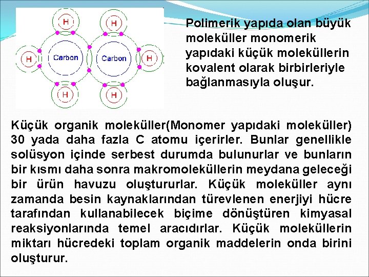 Polimerik yapıda olan büyük moleküller monomerik yapıdaki küçük moleküllerin kovalent olarak birbirleriyle bağlanmasıyla oluşur.