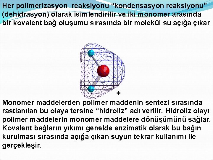 Her polimerizasyon reaksiyonu “kondensasyon reaksiyonu” (dehidrasyon) olarak isimlendirilir ve iki monomer arasında bir kovalent