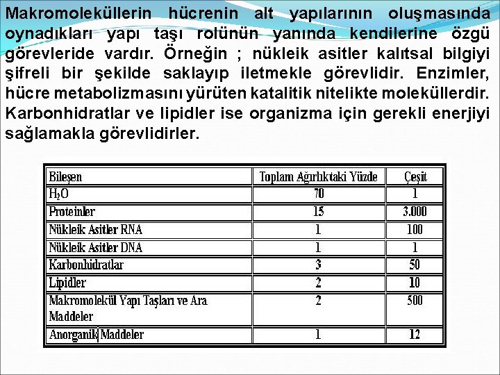 Makromoleküllerin hücrenin alt yapılarının oluşmasında oynadıkları yapı taşı rolünün yanında kendilerine özgü görevleride vardır.