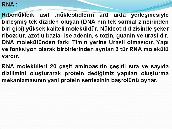 RNA : Ribonükleik asit , nükleotidlerin arda yerleşmesiyle birleşmiş tek diziden oluşan (DNA nın