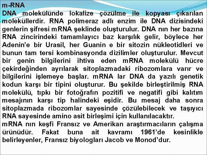 m-RNA DNA molekülünde lokalize çözülme ile kopyası çıkarılan moleküllerdir. RNA polimeraz adlı enzim ile