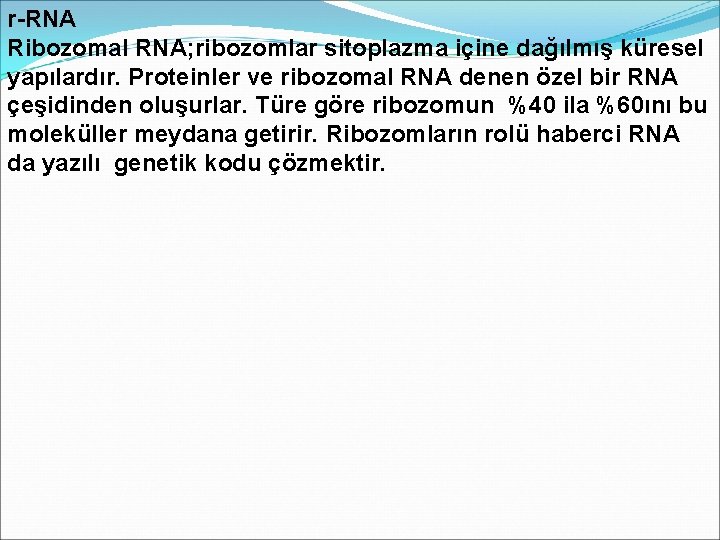 r-RNA Ribozomal RNA; ribozomlar sitoplazma içine dağılmış küresel yapılardır. Proteinler ve ribozomal RNA denen