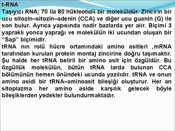 t-RNA Taşıyıcı RNA; 70 ila 80 nükleotidli bir moleküldür. Zincirin bir ucu sitozin–adenin (CCA)