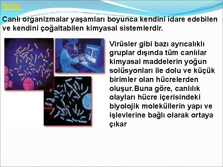 Giriş: Canlı organizmalar yaşamları boyunca kendini idare edebilen ve kendini çoğaltabilen kimyasal sistemlerdir. Virüsler