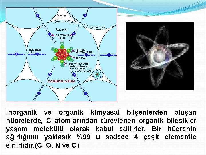 İnorganik ve organik kimyasal bilşenlerden oluşan hücrelerde, C atomlarından türevlenen organik bileşikler yaşam molekülü