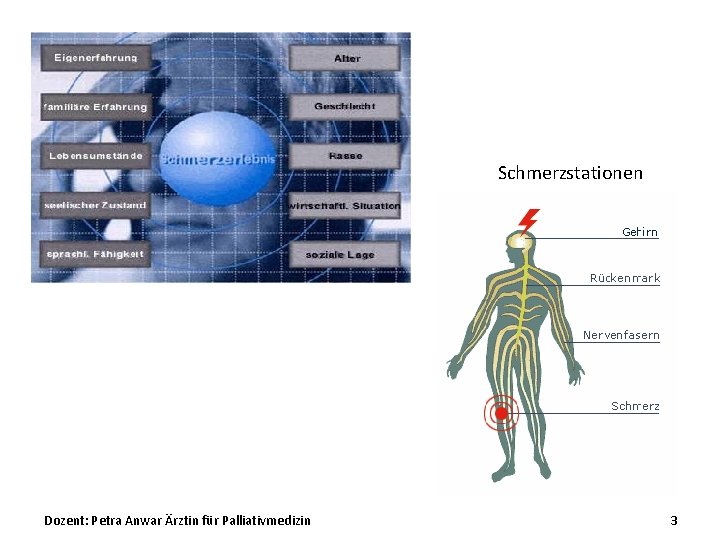 Schmerzstationen Dozent: Petra Anwar Ärztin für Palliativmedizin 3 