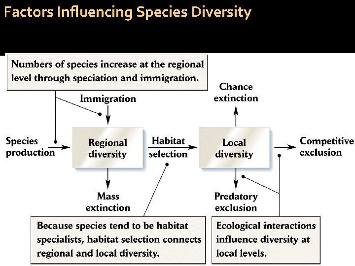 Factors Influencing Species Diversity 