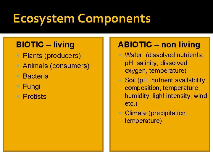 Ecosystem Components BIOTIC – living Plants (producers) Animals (consumers) Bacteria Fungi Protists ABIOTIC –