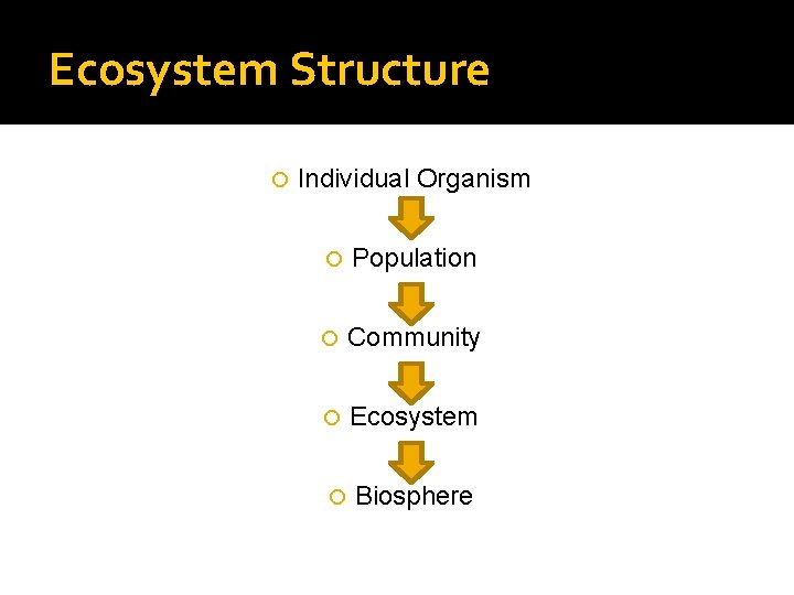 Ecosystem Structure Individual Organism Population Community Ecosystem Biosphere 