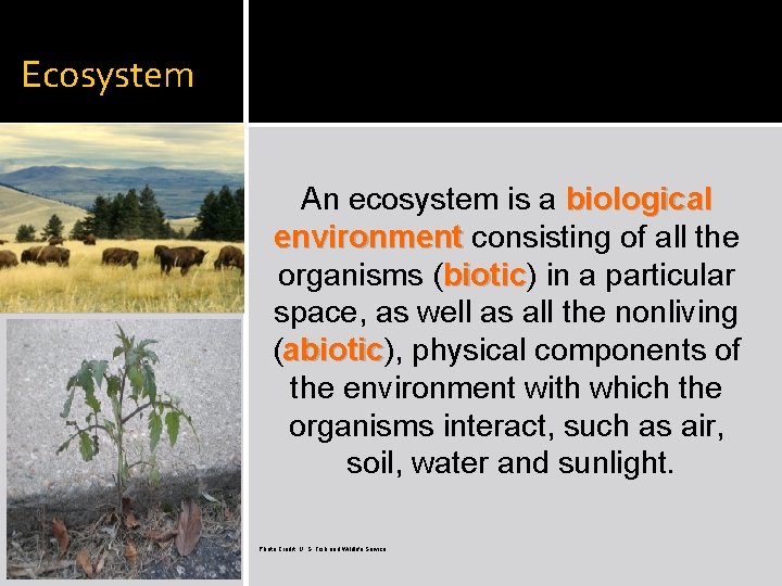 Ecosystem An ecosystem is a biological environment consisting of all the organisms (biotic) biotic