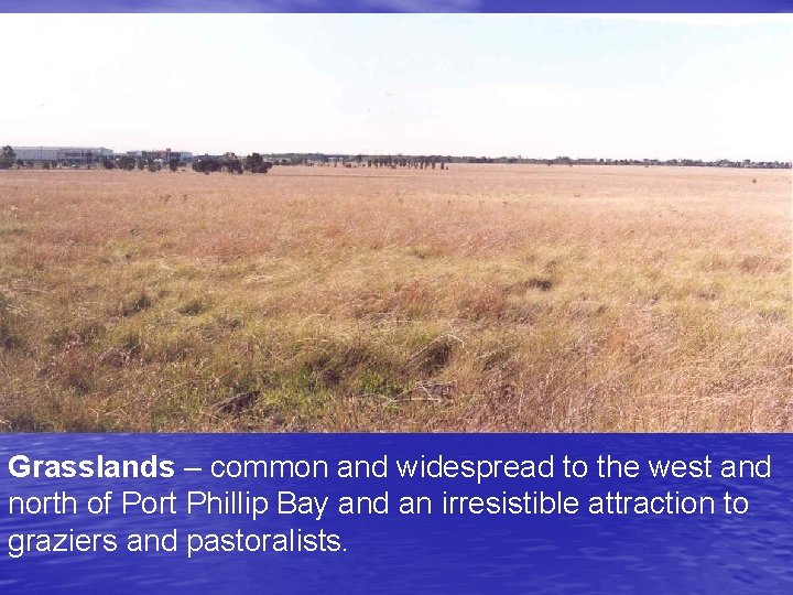 Grasslands – common and widespread to the west and north of Port Phillip Bay