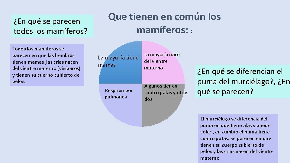 ¿En qué se parecen todos los mamíferos? Todos los mamíferos se parecen en que