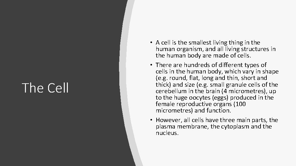 The Cell • A cell is the smallest living thing in the human organism, The Cell • A cell is the smallest living thing in the human organism,