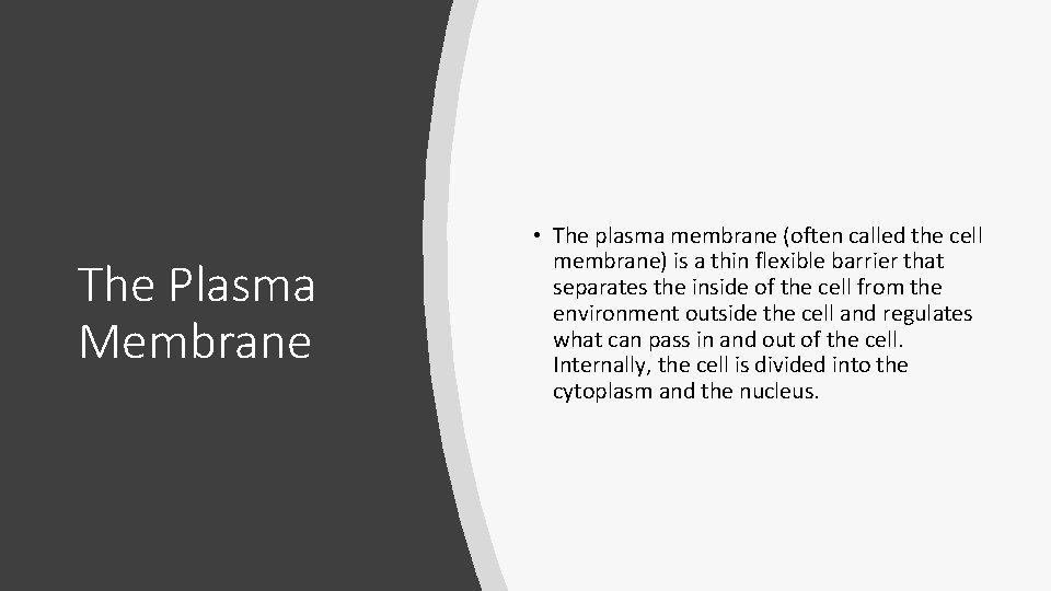 The Plasma Membrane • The plasma membrane (often called the cell membrane) is a The Plasma Membrane • The plasma membrane (often called the cell membrane) is a
