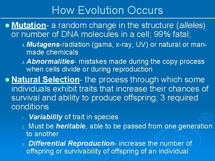 How Evolution Occurs l Mutation- a random change in the structure (alleles) or number