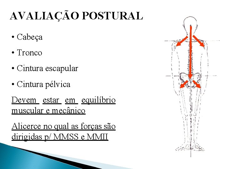 AVALIAÇÃO POSTURAL • Cabeça • Tronco • Cintura escapular • Cintura pélvica Devem estar