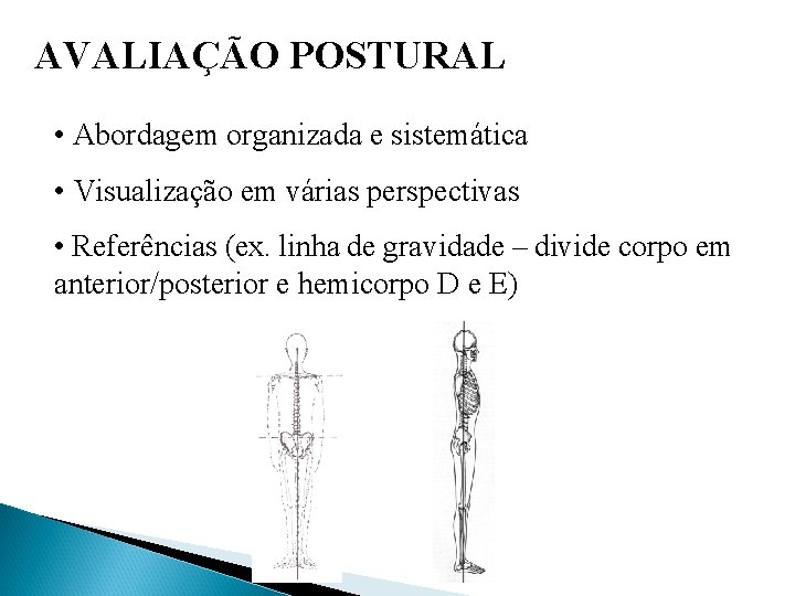 AVALIAÇÃO POSTURAL • Abordagem organizada e sistemática • Visualização em várias perspectivas • Referências